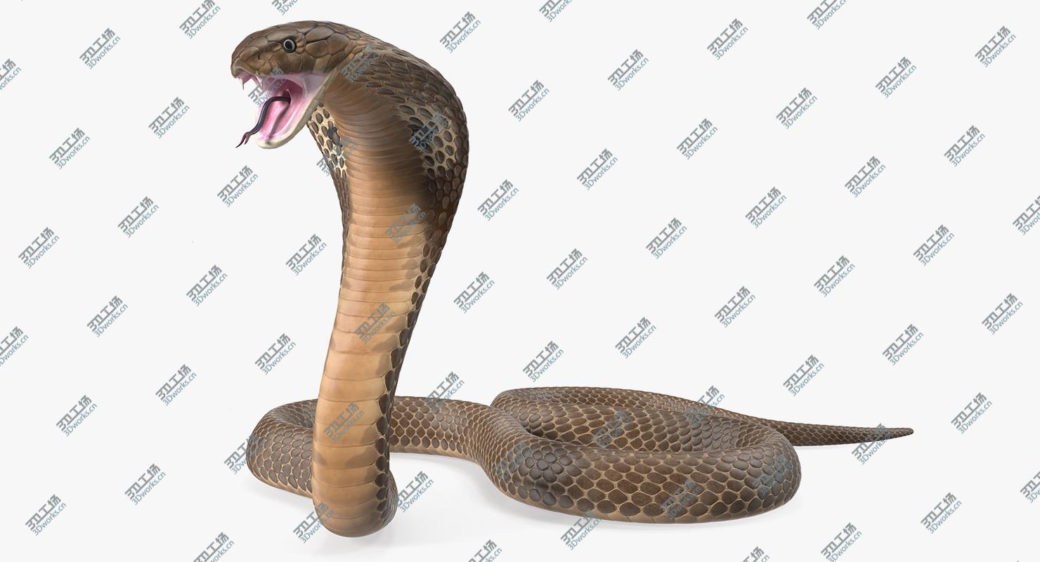 images/goods_img/202104091/3D Beige Skin Cobra Rigged model/2.jpg